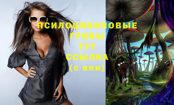 сатива Пересвет